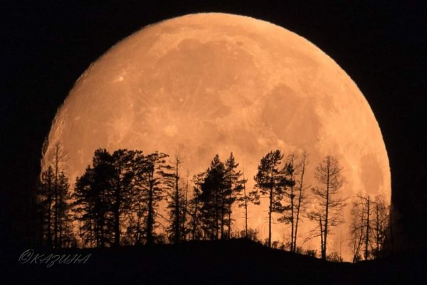Луна на севере