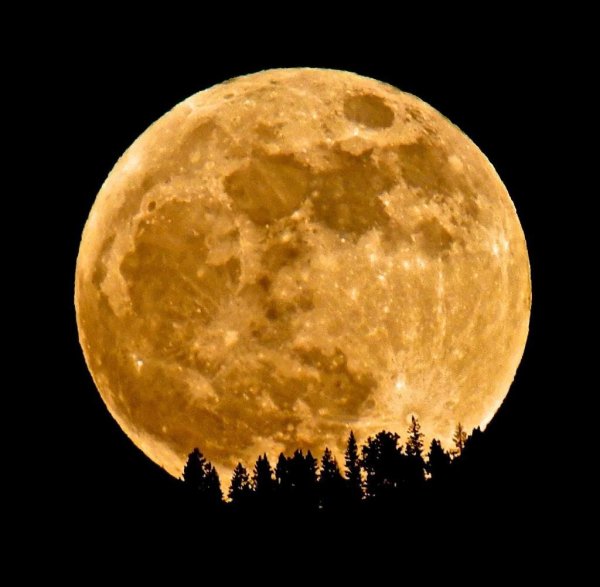 Луна крупно