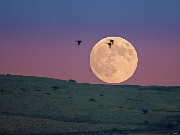 Восходящая Луна