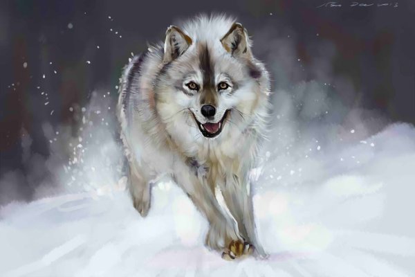 Бегущая с волками картина