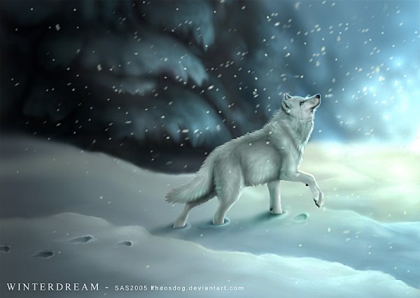 Волк зимой арт