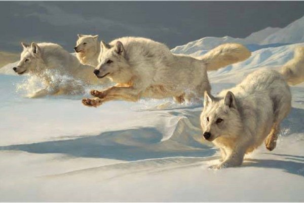 Художник-анималист Грег Бичем