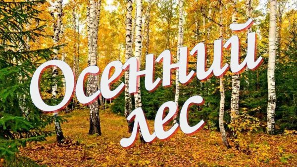 Надпись осенний лес