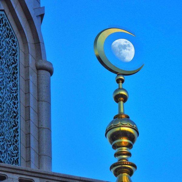 Полумесяц мусульманский