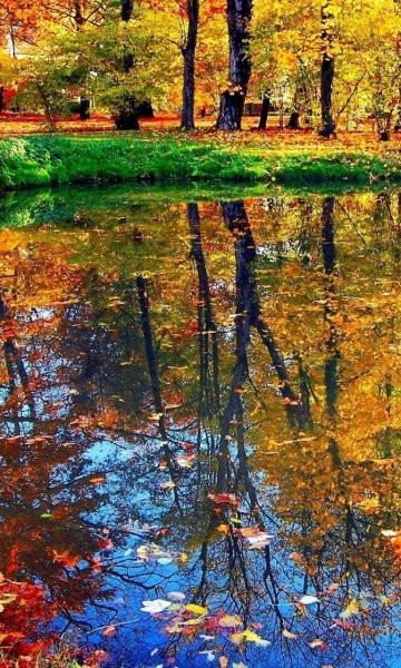 Осенний пейзаж с водой