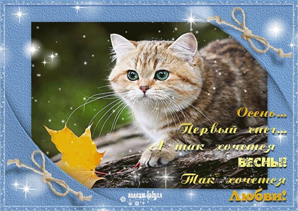 Открытки с первым снегом