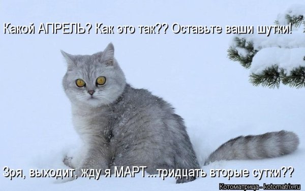 Весна Проснись зима наглеет