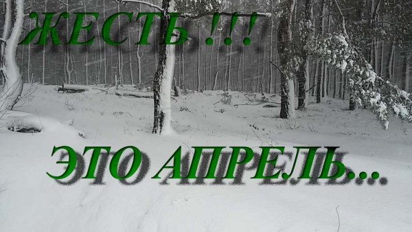 Открытки с апрельским снегом