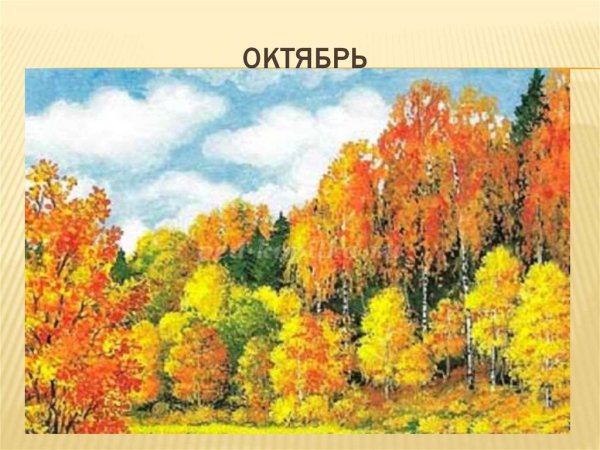 Осенний лес в детском саду