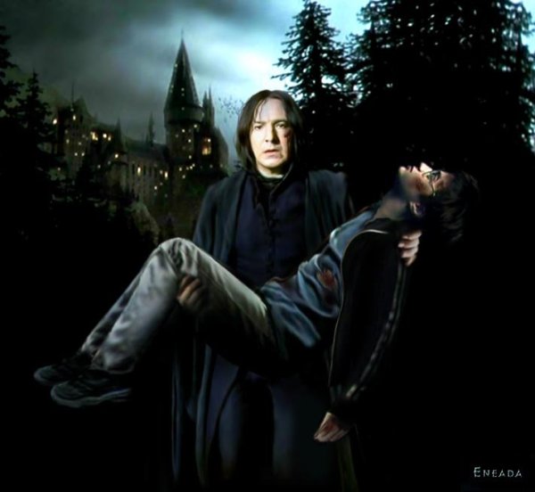 Северус Снегг и Гарри