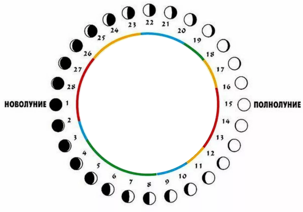 Цикл лунных фаз