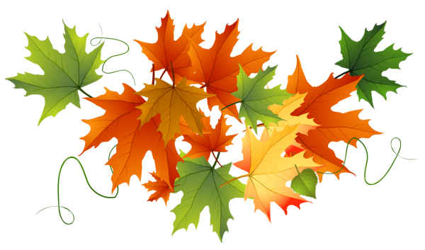 Осенние листья на прозрачном фоне