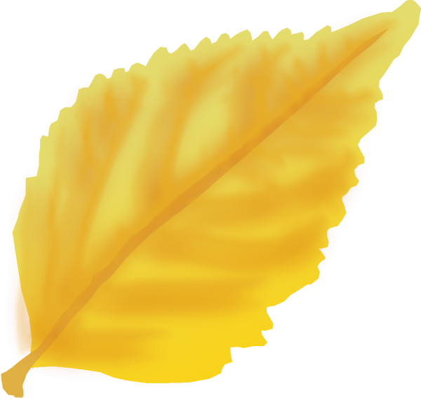 Желтые листочки