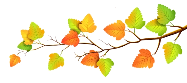 Осенняя ветка