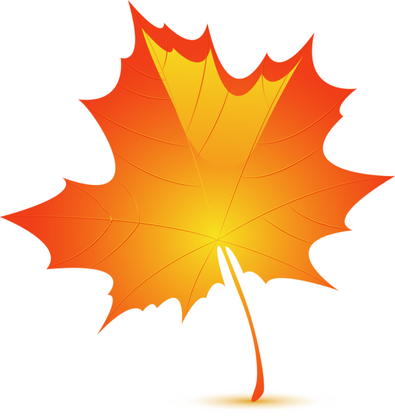Кленовый лист на прозрачном фоне