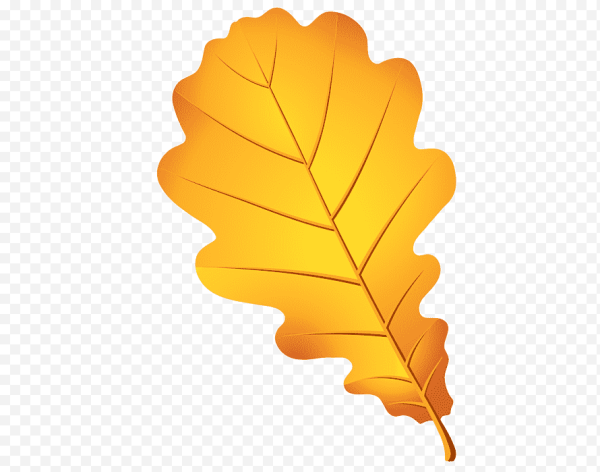 Осенние листья