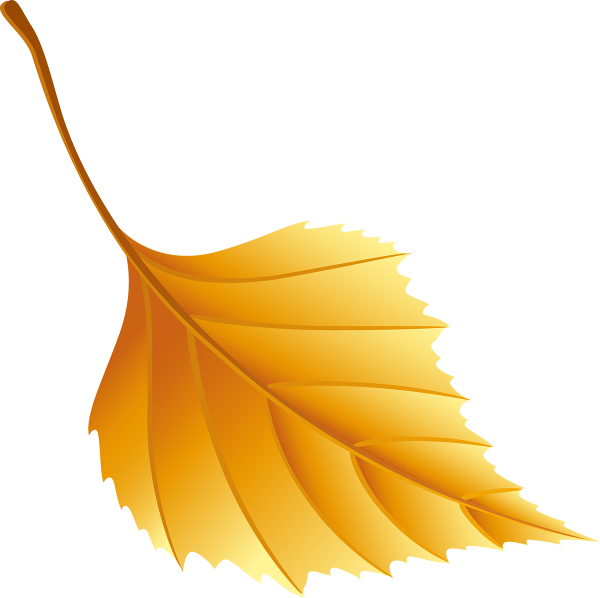 Осенний листок на белом фоне