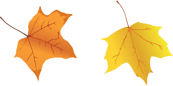 Желтый листок на прозрачном фоне