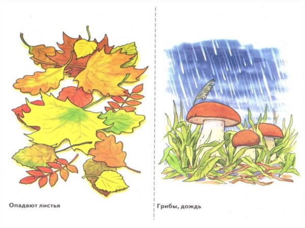 Осень картинки для детей