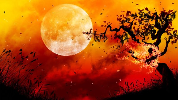 Оранжевый закат арт