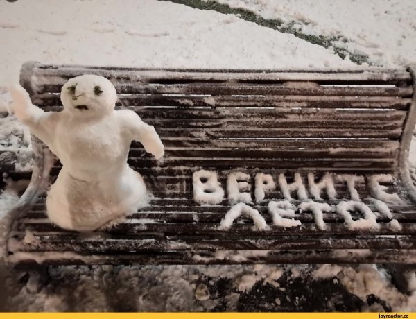С первым снегом приколы