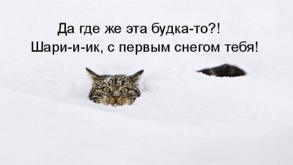 С первым снегом приколы