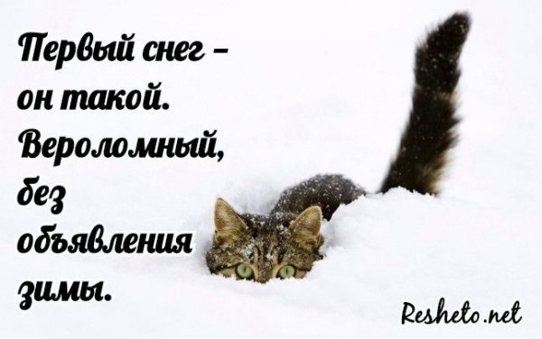 Смешные статусы про первый снег
