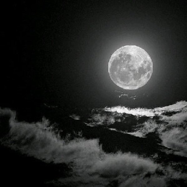 Лунная ночь