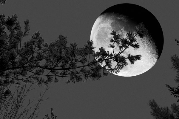 Луна черно белая
