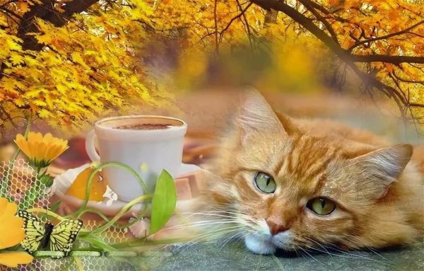 Доброе солнечное осеннее утро