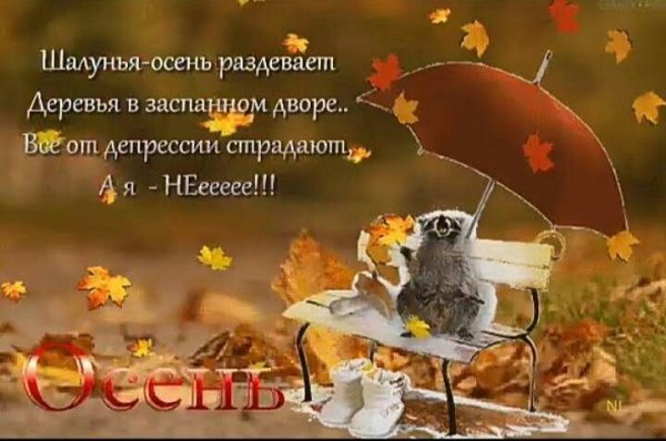 Осенние афоризмы Веселые