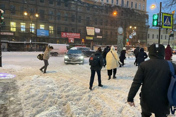 Снегопад в Петербурге