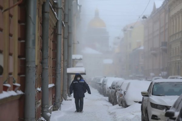 Метель в Санкт Петербурге