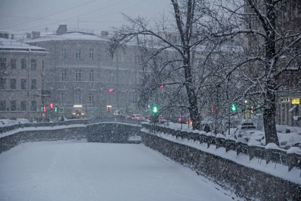 Петроградка Санкт-Петербург зима