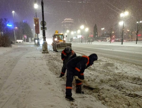 Дорожник снега