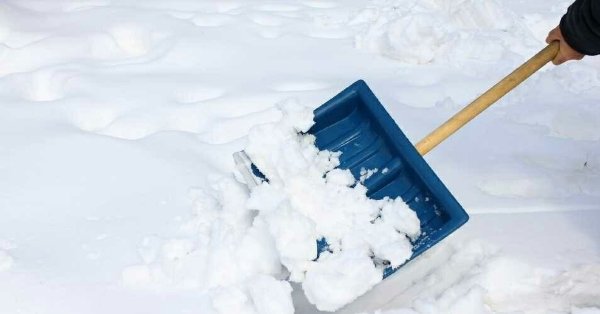 Лопата для уборки снега арт