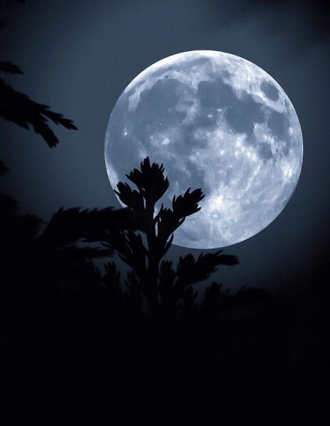 Лунная Эстетика