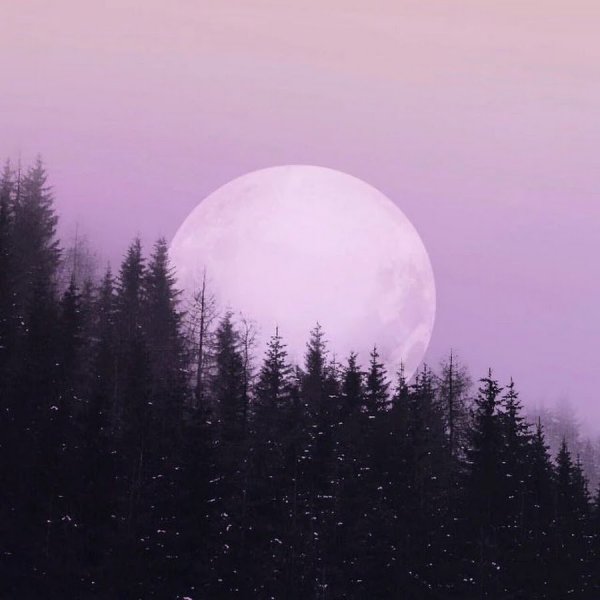 Полная Луна Эстетика