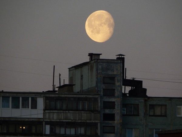 Полнолуние Эстетика