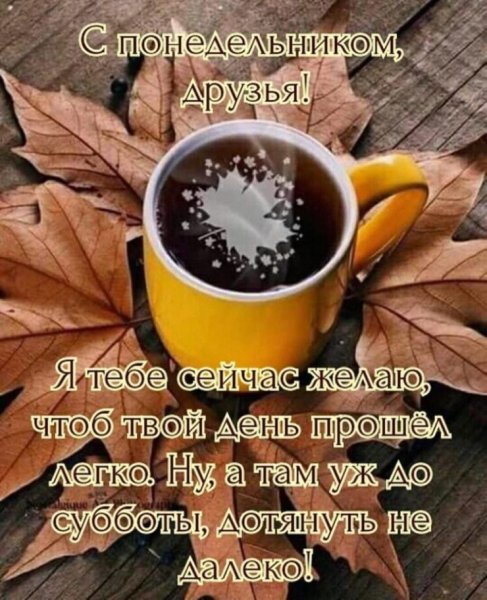 Пожелания с добрым утром понедельника