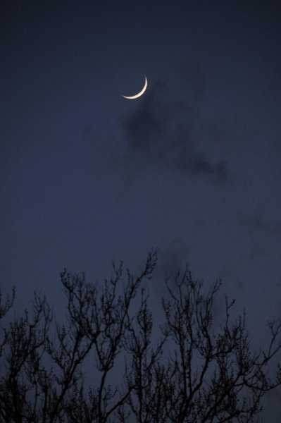 Полумесяц на небе