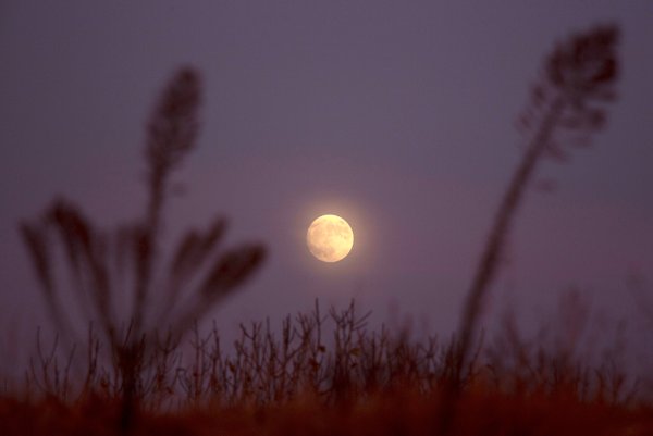 Луна Эстетика