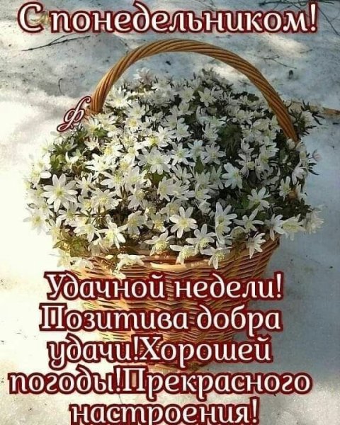 Хорошего понедельника и отличного настроения