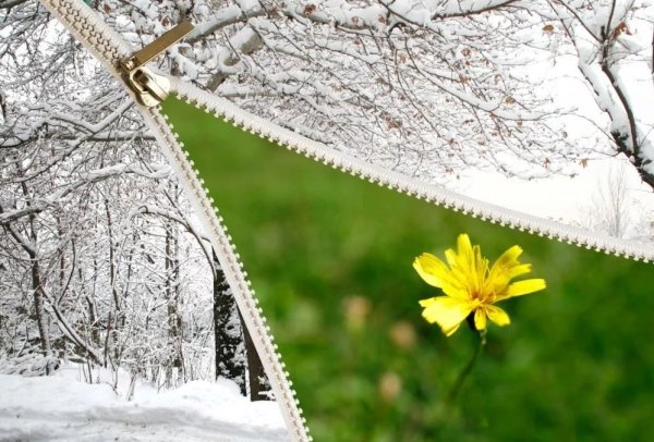 Из зимы в весну