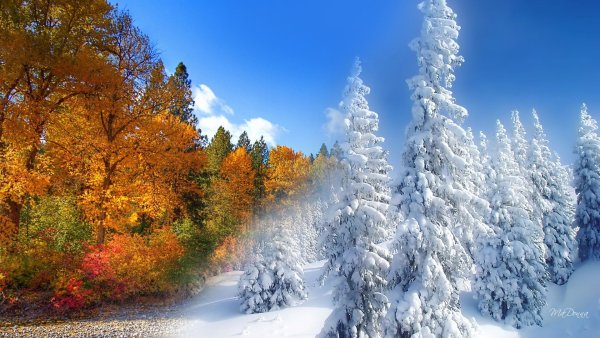 Картинки Зима Лета