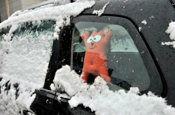 Первый снег смешно