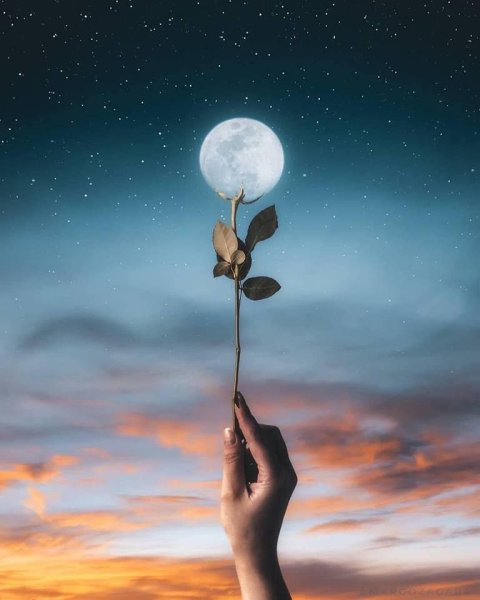 Луна Эстетика