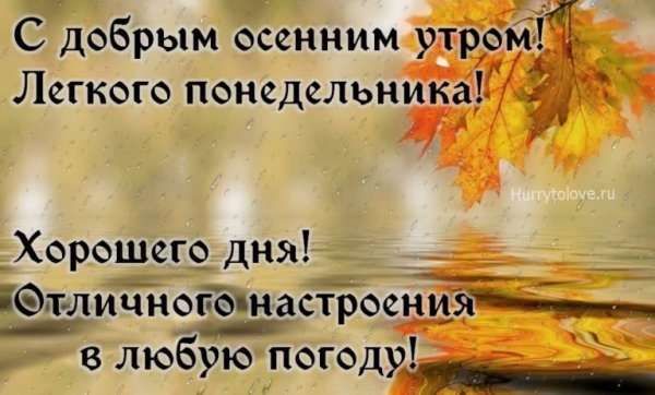 Доброе осеннее утро понедельника