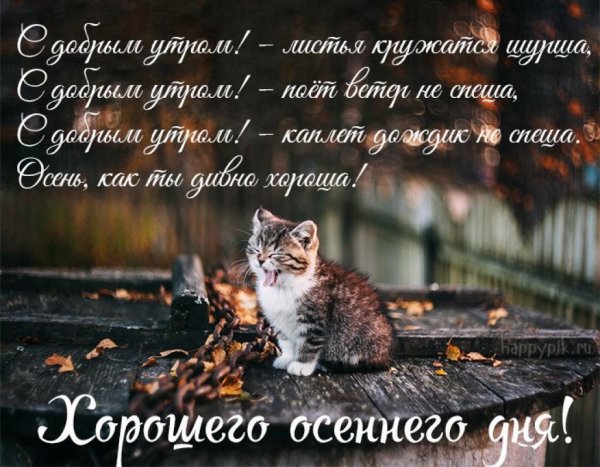 С добрым осенним дождливым утром