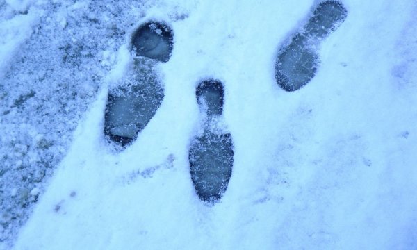 Дорожка следов на снегу